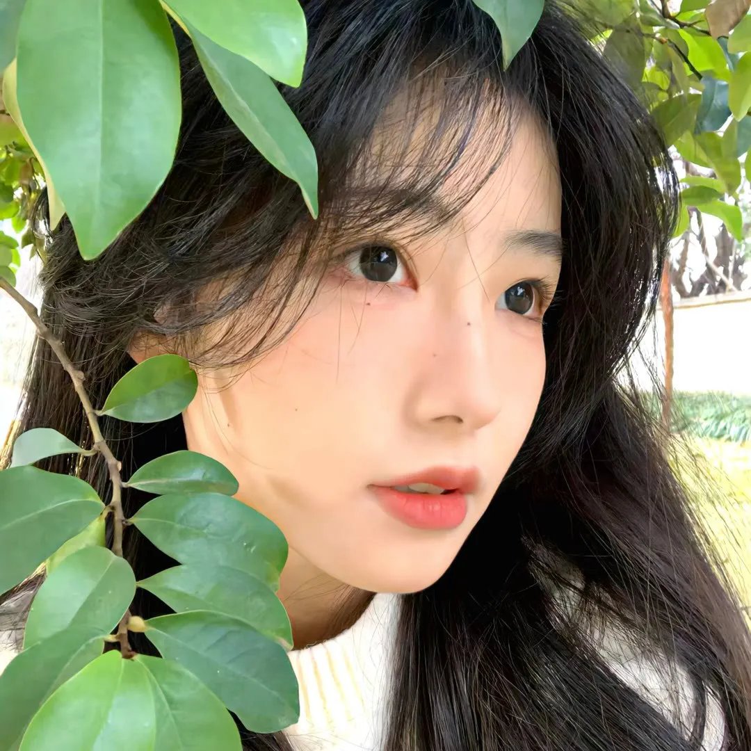 迷域行者